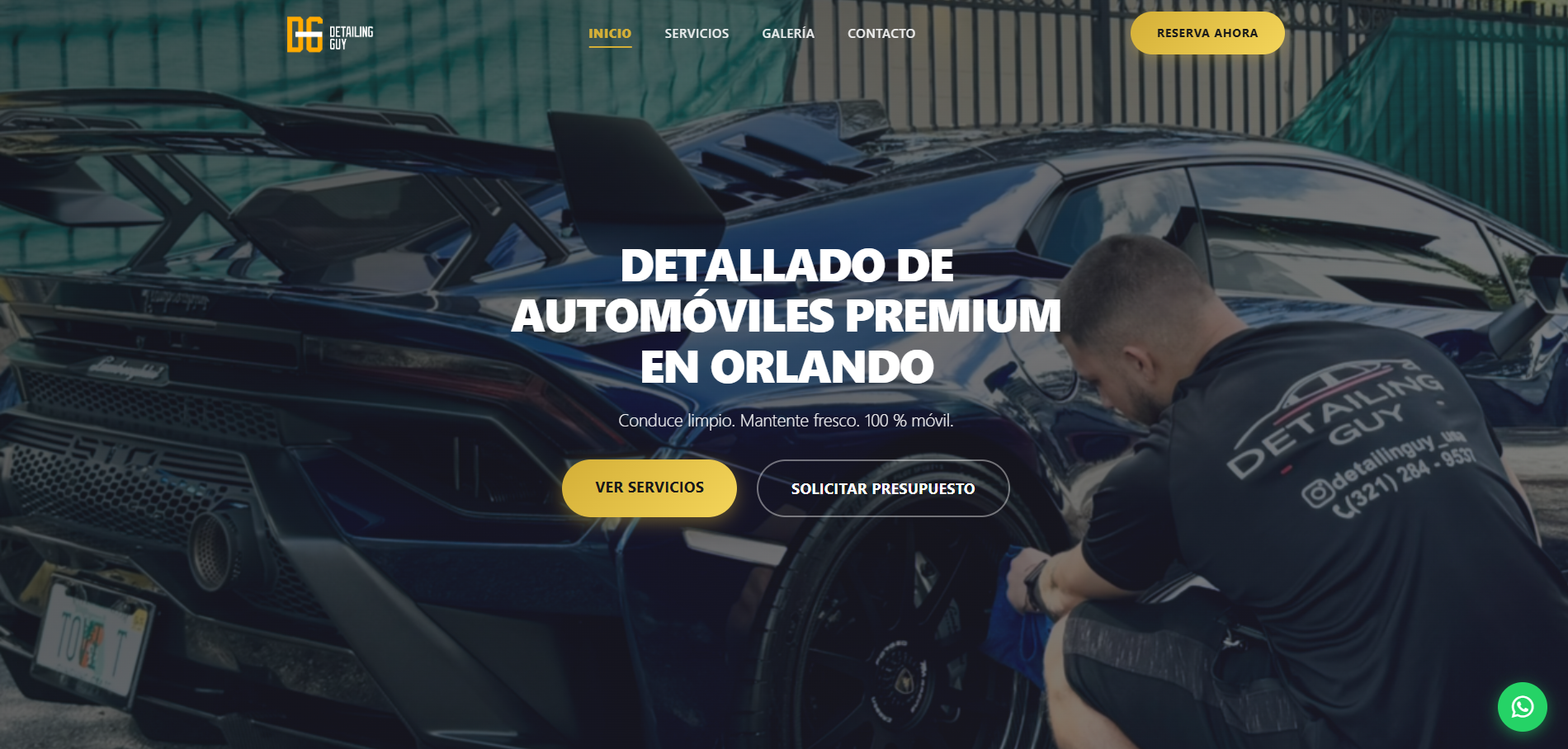 Detailing Guy Website